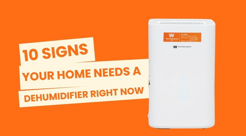 10 Signs Your Home Needs a Dehumidifier Right Now 1 WhatsApp Image 2025 09 15 at 6.18.23 PM